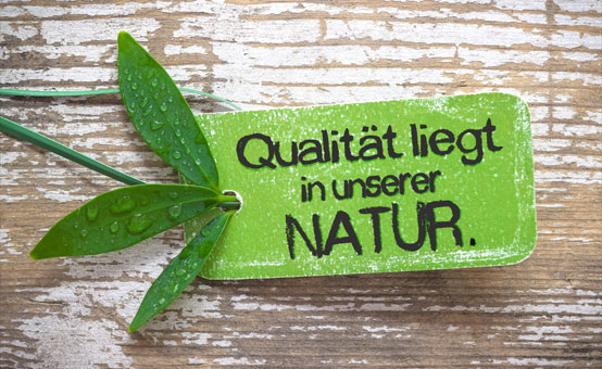 DIN EN ISO 9001 und 14001